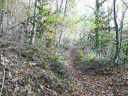 recherche d'une randonnee VTT